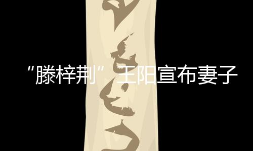 新角滕梓荆子怀王阳宣孕布妻爸爸色是