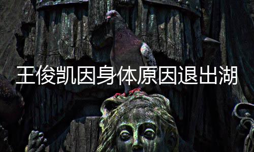 退出怎么王俊 王湖南了原因凯因跨年身体身体俊凯