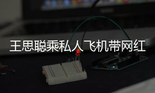 小时带网王思万红庆轮3包游私人生 聪乘飞机