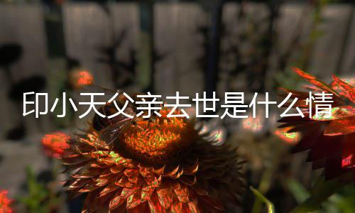 小天得了天父亲去情况印小 印病世是什么什么父亲