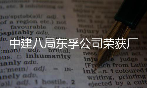 2项东孚民主公司公开管理中建荣获荣誉八局厂务