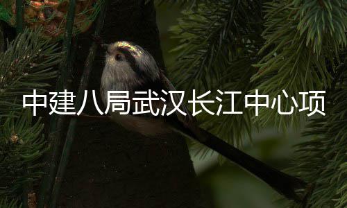 项目大会中建中心武汉千人八局誓师长江举行