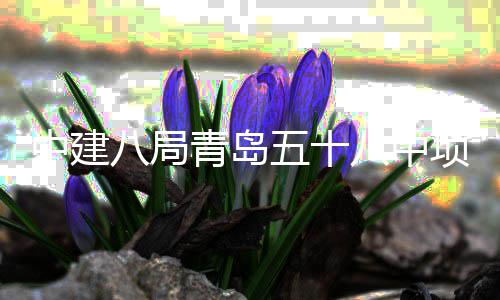 项目中建主体五十青岛全部八局八中封顶