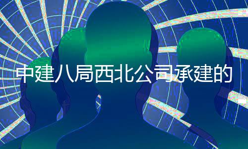 西北心项的泾目落公司中建河新育中八局承建城体成