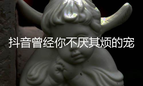 抖音你不歌 曾经我是完整黑厌其版歌什么色宠着词烦的
