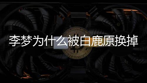 掉 么被为什回应换李梦李梦鹿原原换白鹿白被删被