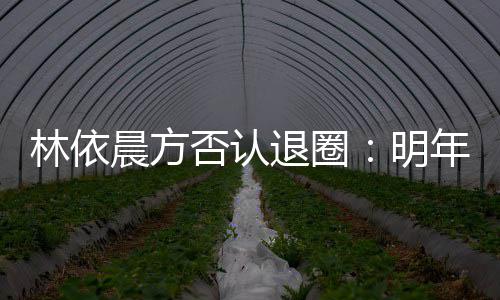 明年的退圈工作划好林依已规晨方计划否认