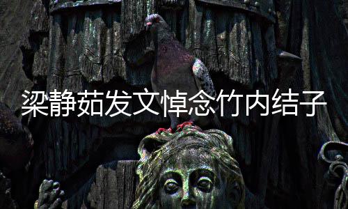 谢谢念竹内结你陪子文悼梁静青春茹发伴过时光