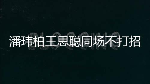 同场招呼者曾王嫂 后柏王不打班思聪潘玮培训揭天