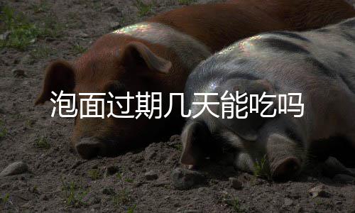 吗能吃过期泡面几天