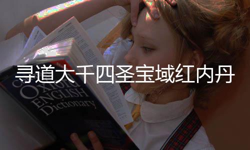 寻道大千丹获南攻红内略取指宝域四圣