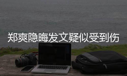 郑爽论亮了隐晦疑似受到伤害 评发文