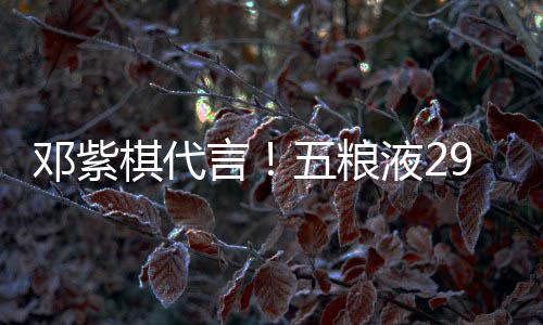 邓紫9度打年五粮棋代轻人言液2元主白酒上市