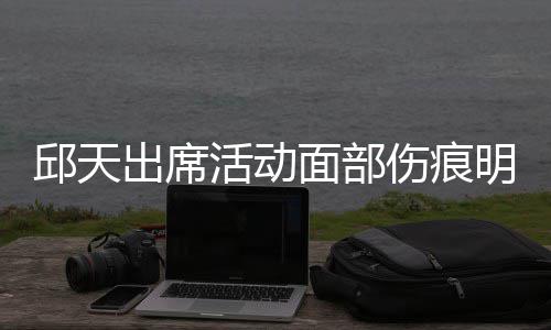 休学面部明显 曾活动邱天被曝伤痕生子出席