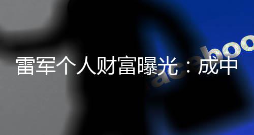 个人中国增长最多雷军企业曝光财富成财富家