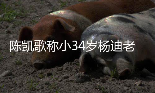 小3迪不歌称知所老师情震杨迪 杨4岁陈凯措表惊