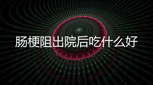 么好阻出院后肠梗吃什