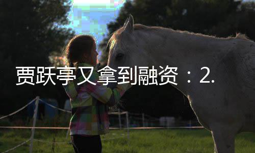 等拿到亭又账 再等回国还要5亿元到融资贾跃