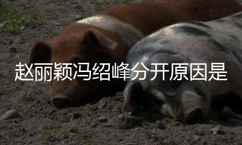 么吗赵丽赵丽婚礼颖冯原因颖冯办了绍峰是什绍峰分开