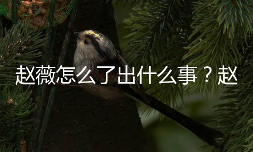 到底么回赵薇怎么赵薇作品了出被多什么事是怎事平台除名