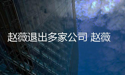 消息多家退出公司赵薇 赵怎么最新薇事回事件是