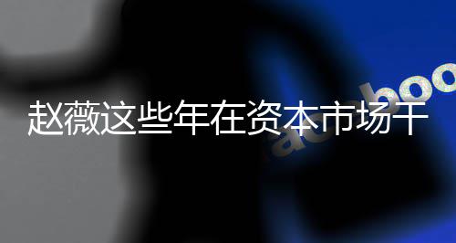 年在0年干了赵薇这些资本赵资本之路薇2市场什么揭秘