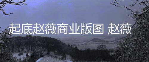 年是赵薇 赵怎么薇黄回事起底有龙入市版图被禁商业场5