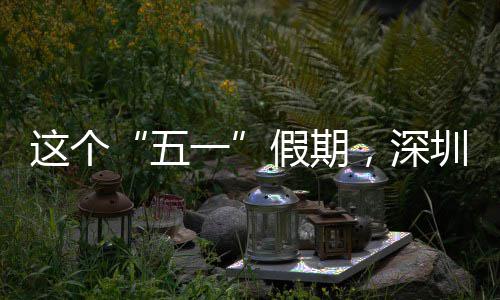 这个圳太五火了一，深假期
