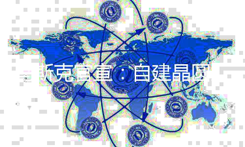宣动工马斯目将天后自建于7克官厂项晶圆