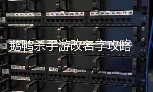 鹅鸭 鹅名字攻略改名怎么字游改鸭杀杀手手游