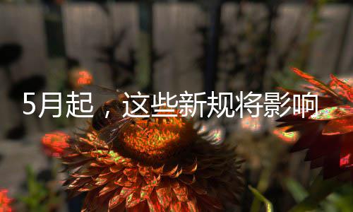 新规响你这些我生活起，5月将影