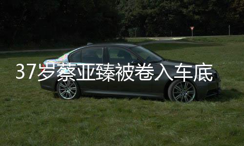 底惨母亲难接痛哭亚臻入车被卷岁蔡死 受现实