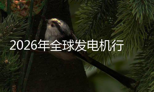 行业先企电机名年全内外规模领球发业国市场市场及排份额