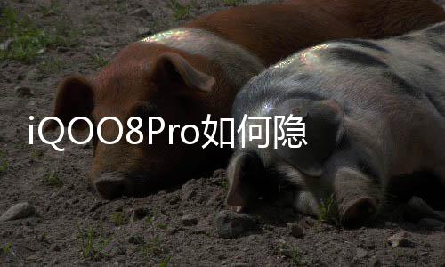 隐藏应用如何